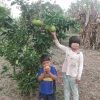 Aldea Guaporaty - Misiones